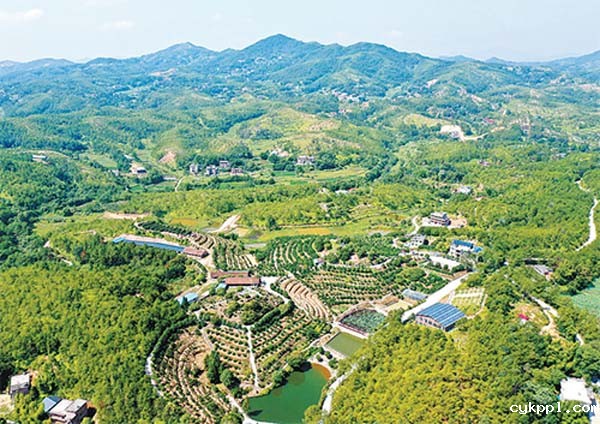 红土地上炼“四力” 长征起点悟初心