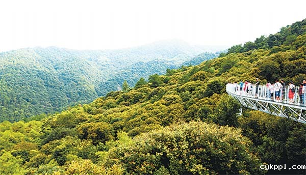 红土地上炼“四力” 长征起点悟初心