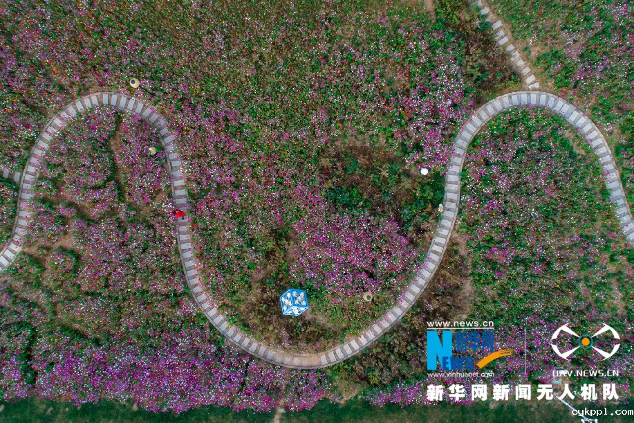 沿黄百里好风光