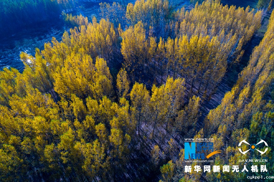 沿黄百里好风光