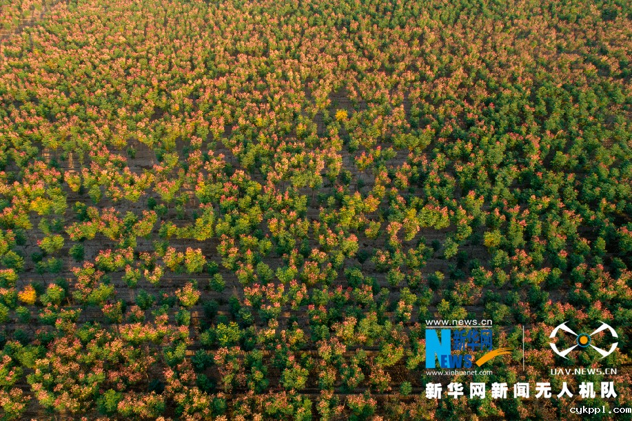 沿黄百里好风光