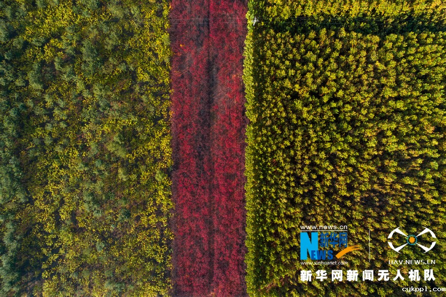 沿黄百里好风光