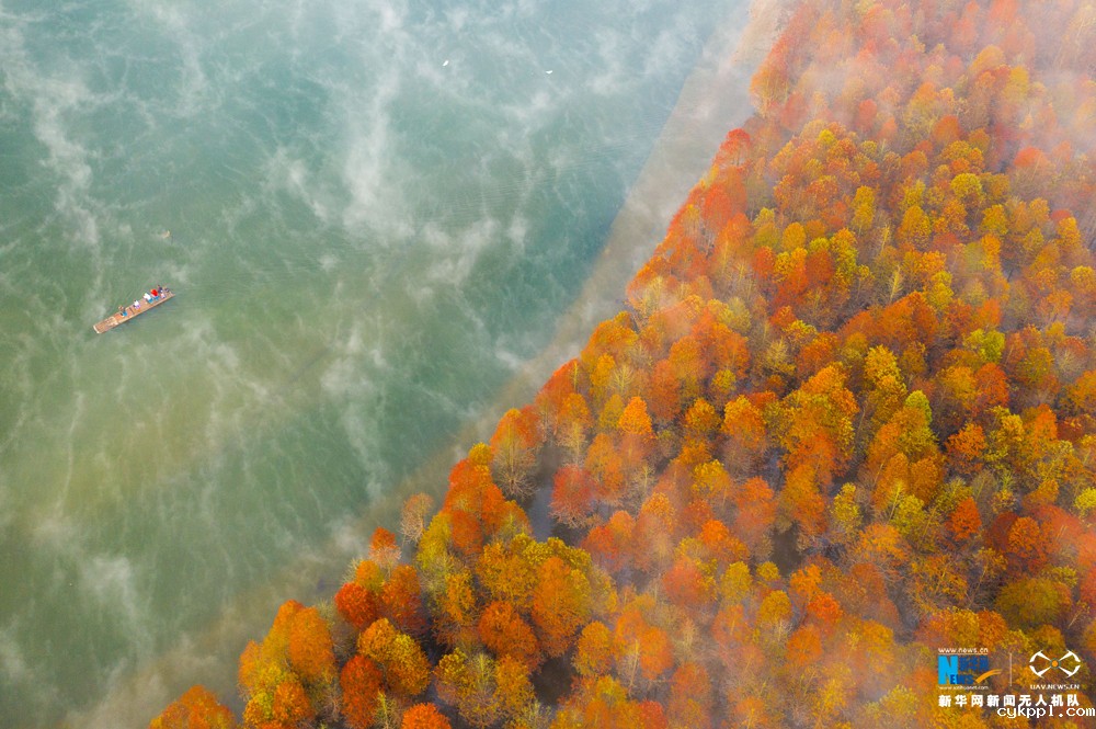 航拍：云影青龙湾 醉美红杉林
