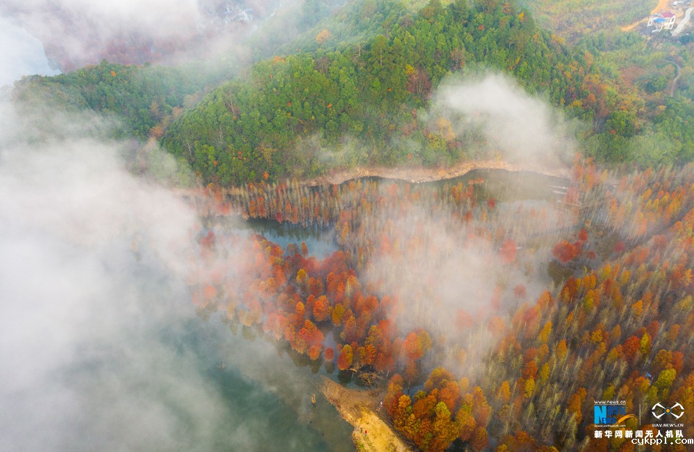 航拍：云影青龙湾 醉美红杉林