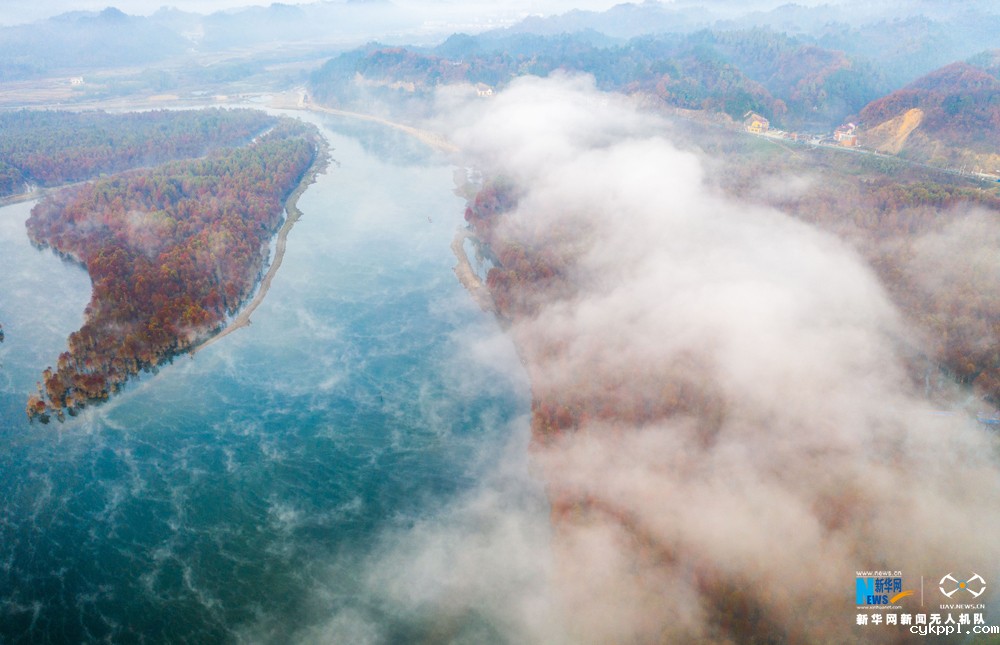 航拍：云影青龙湾 醉美红杉林