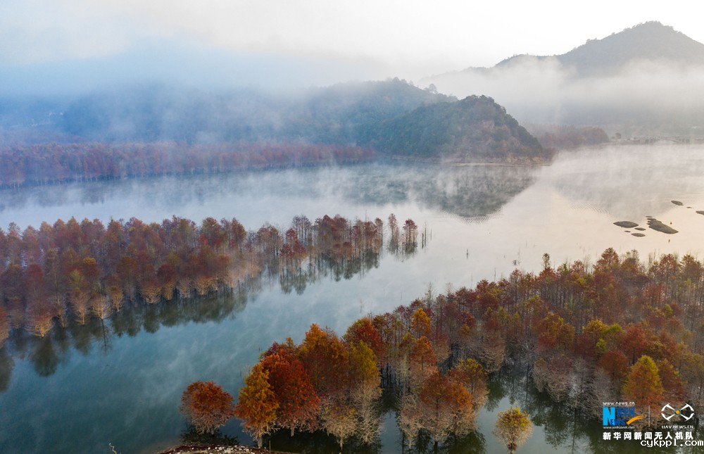 航拍：云影青龙湾 醉美红杉林