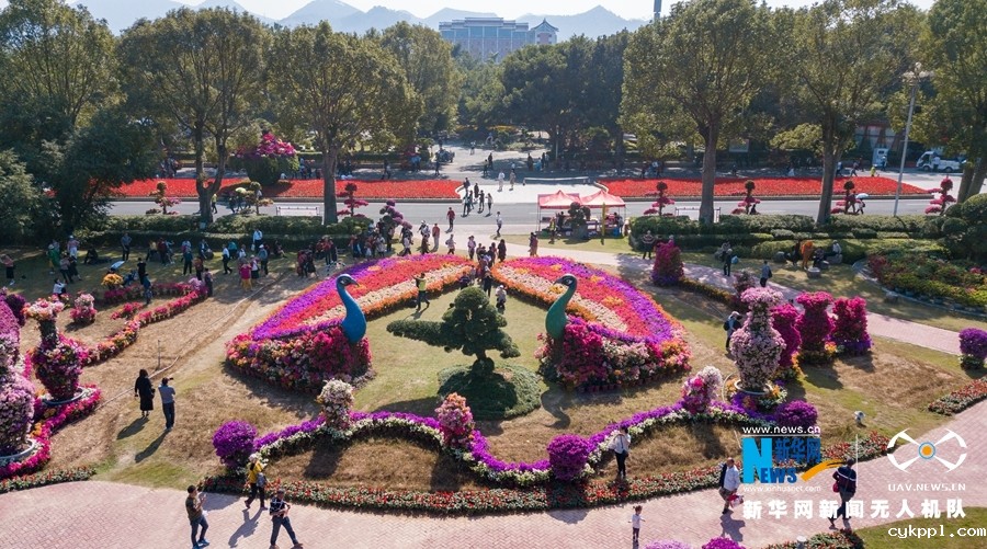 【“飞阅”中国】福建漳州：大美花博园