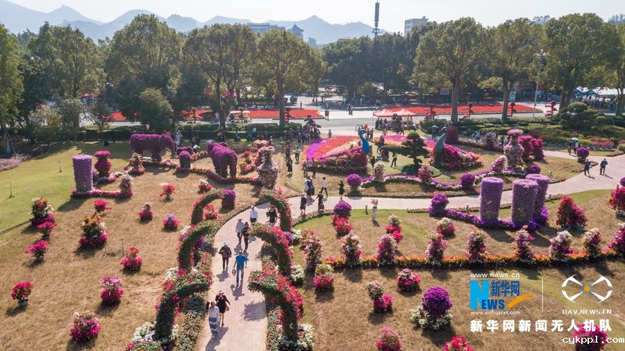 【“飞阅”中国】福建漳州：大美花博园