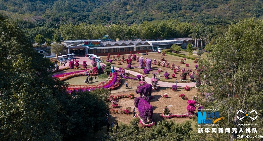 【“飞阅”中国】福建漳州：大美花博园