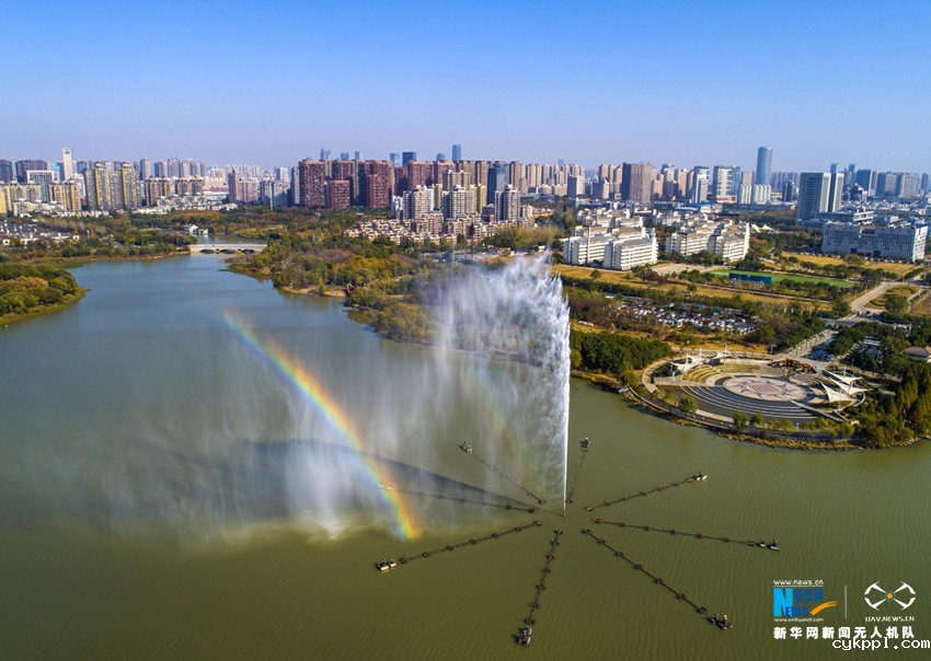 航拍：庐州秋未尽 满城“黄金甲”