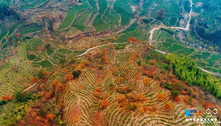 航拍：层林尽染暖江南
