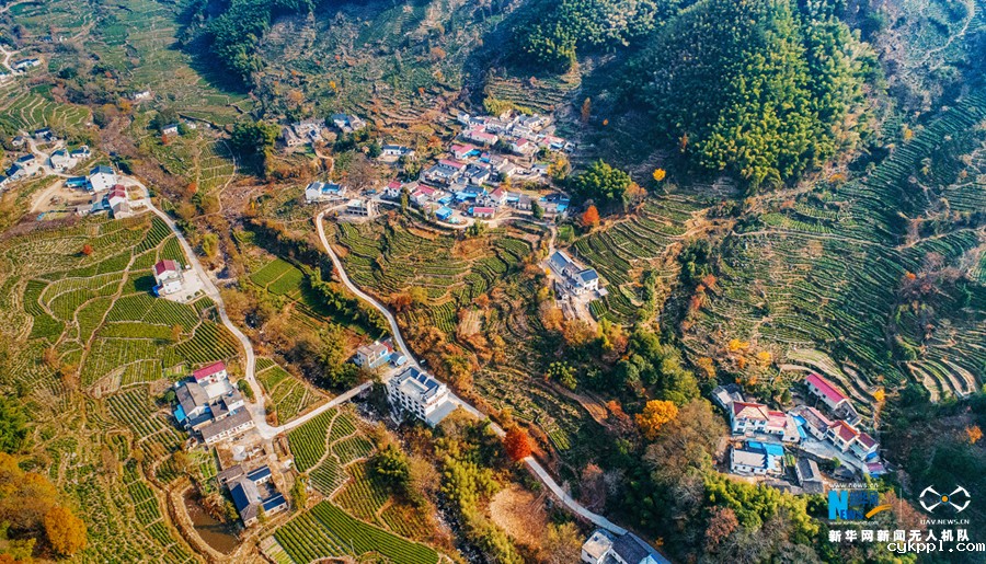 航拍：层林尽染暖江南