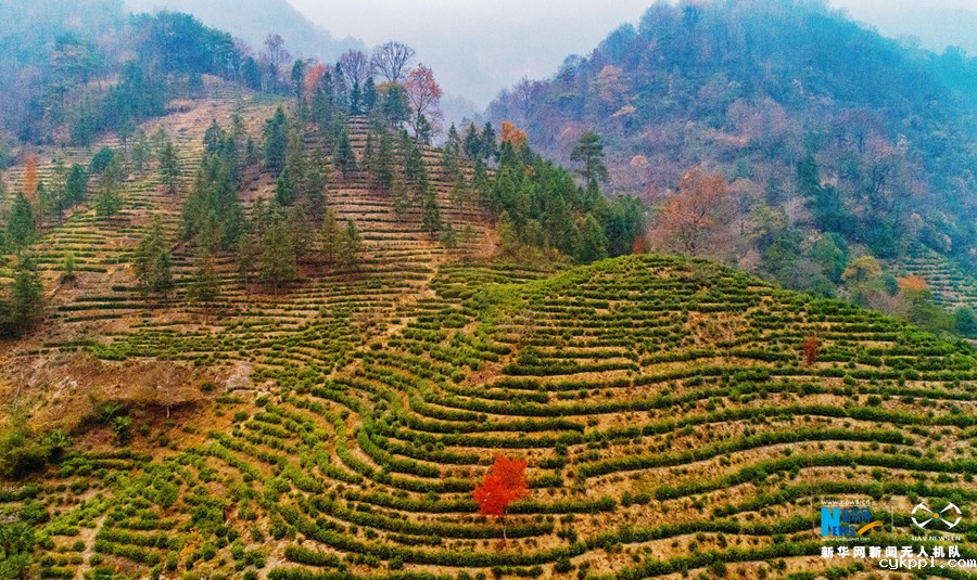 航拍：层林尽染暖江南