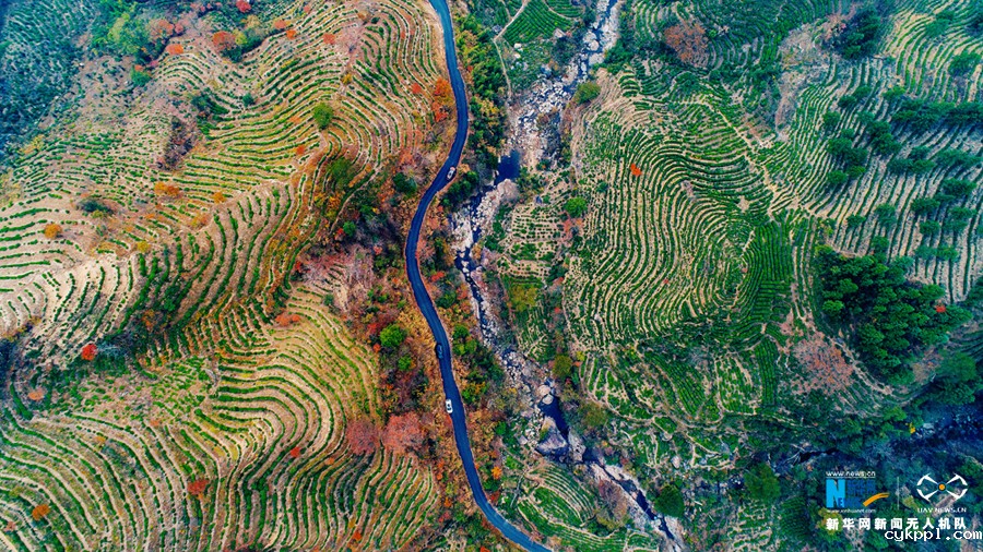 航拍：层林尽染暖江南