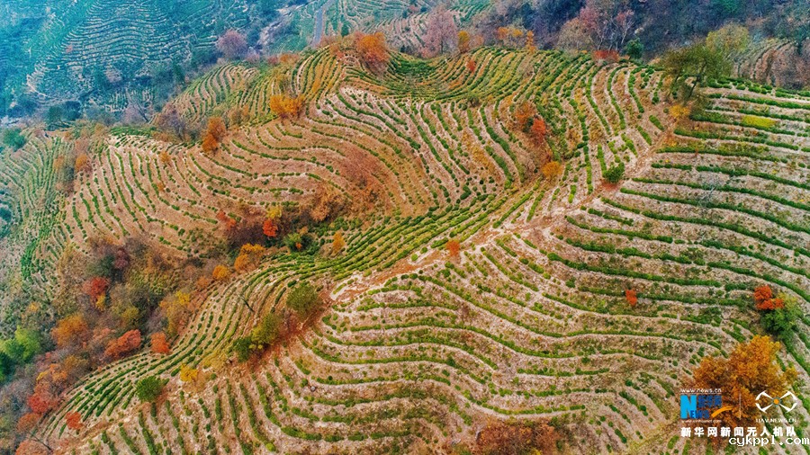 航拍：层林尽染暖江南