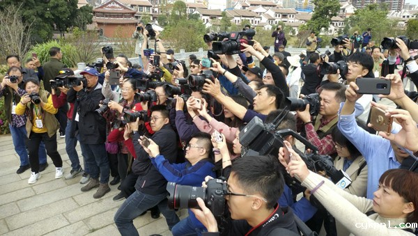 百家媒体聚焦“花样漳州”