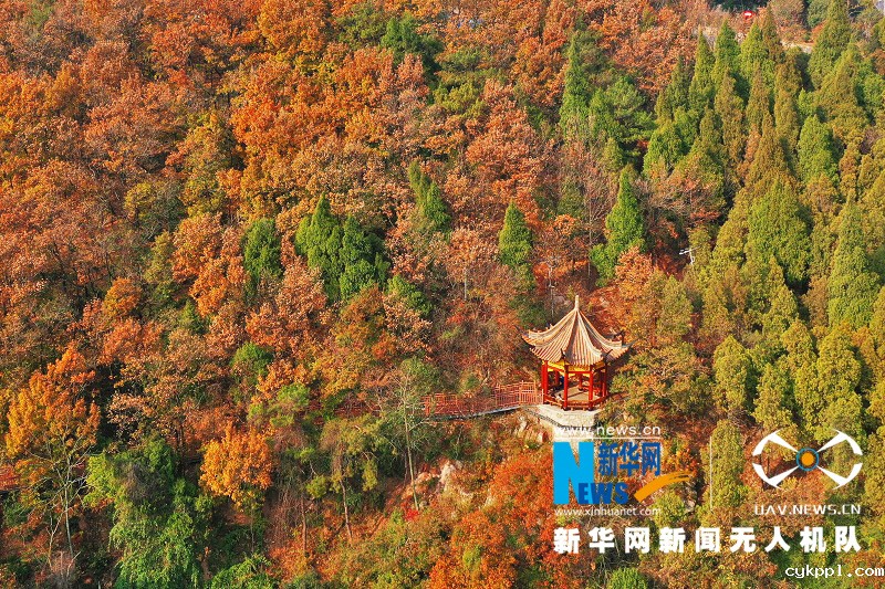 七彩入画 层林尽染