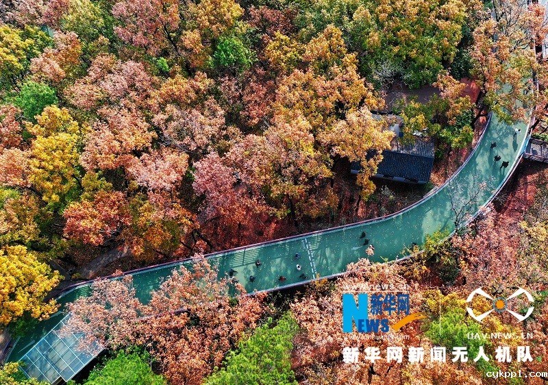 七彩入画 层林尽染