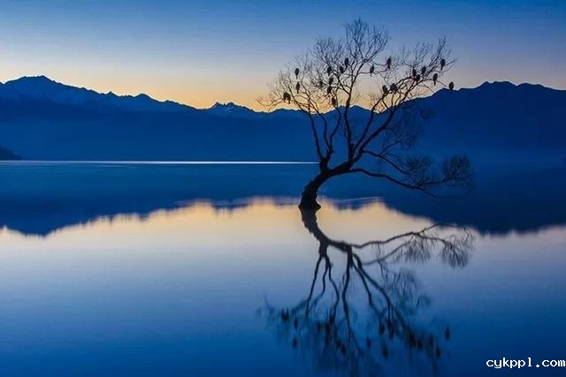 打破 “黄金时刻” 依赖症!如何在不同时间段拍出好片 打破 “黄金时刻” 依赖症!如何在不同时间段拍出好片