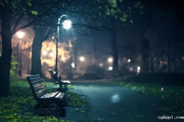 打破 “黄金时刻” 依赖症!如何在不同时间段拍出好片 打破 “黄金时刻” 依赖症!如何在不同时间段拍出好片