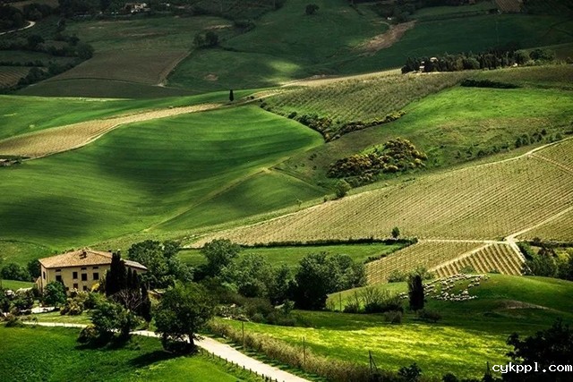 打破 “黄金时刻” 依赖症!如何在不同时间段拍出好片 打破 “黄金时刻” 依赖症!如何在不同时间段拍出好片