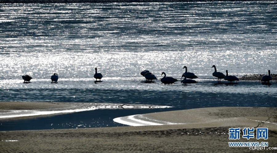 寻找冬日千姿湖的静谧时光