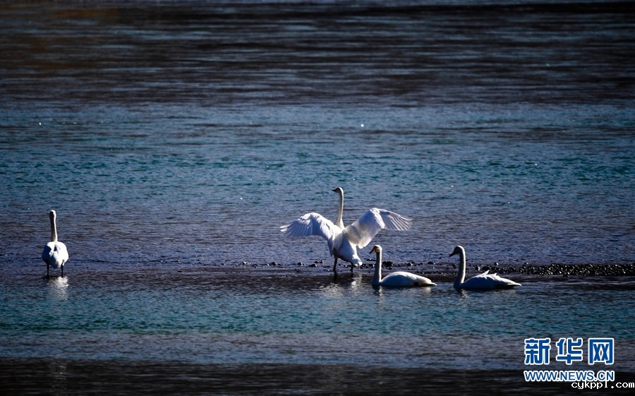 寻找冬日千姿湖的静谧时光