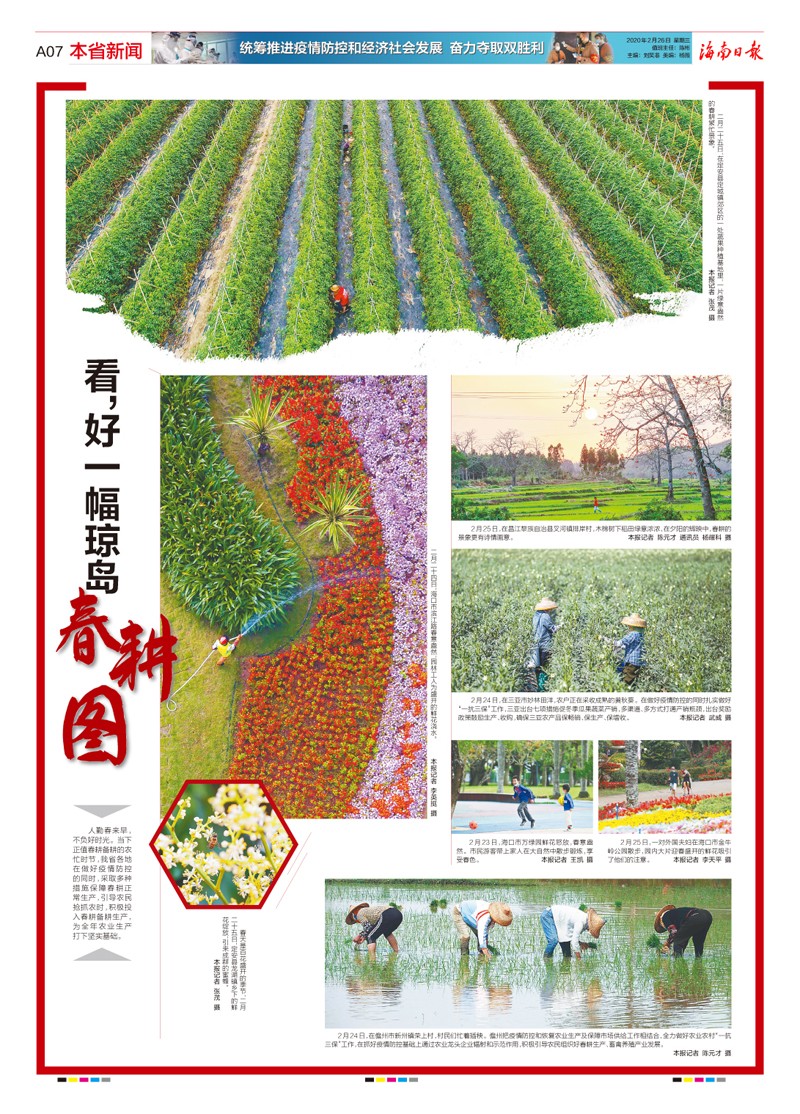 海南日报抗击疫情摄影专版