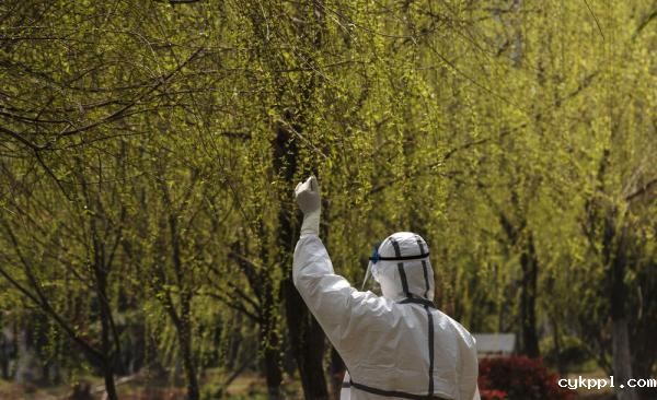 白衣战士，你的名字写满了这个春天！