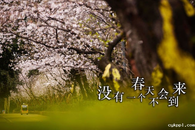 白衣战士，你的名字写满了这个春天！