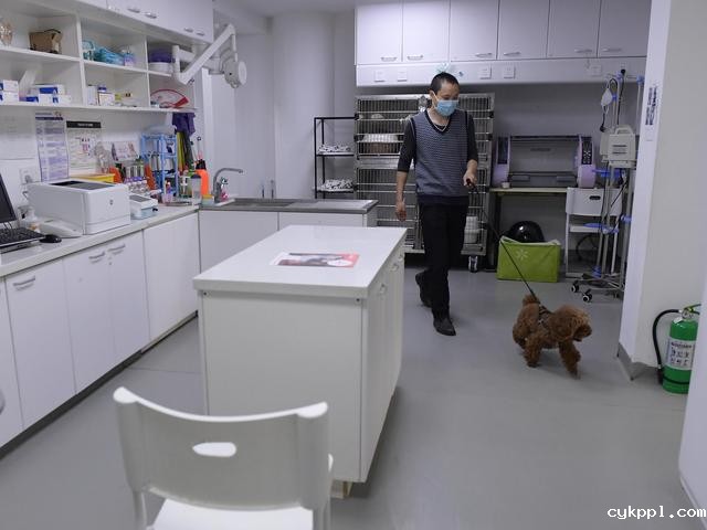 幸好有你,喵星人、汪星人的临时“奶爸”