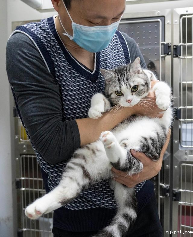 幸好有你,喵星人、汪星人的临时“奶爸”