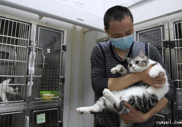 幸好有你,喵星人、汪星人的临时“奶爸”