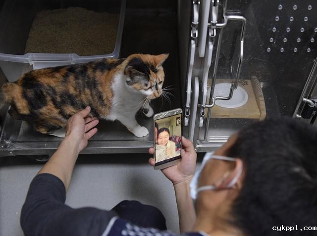 幸好有你,喵星人、汪星人的临时“奶爸”