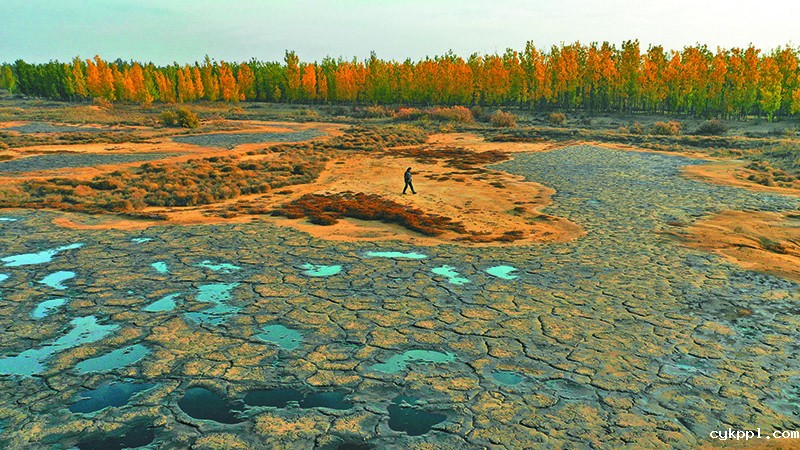 腾格里沙漠“浓缩”黑液20天清出4万吨