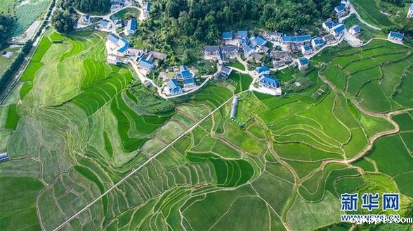 红色圣地的“初心答卷”——革命老区遵义肝胆相照写征程