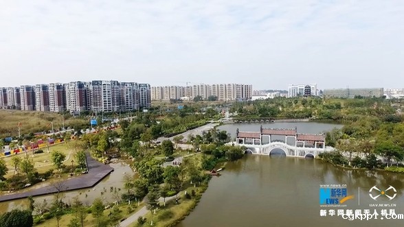 【“飞阅”中国】美!“鱼吃花” 画面生趣灵动