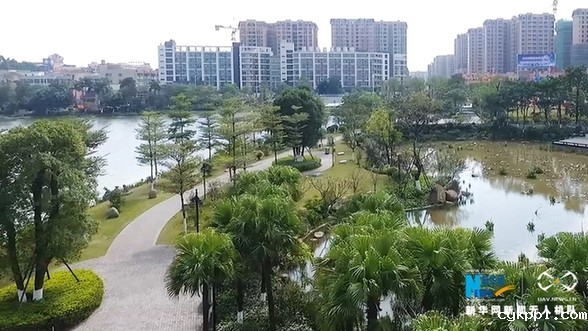 【“飞阅”中国】美!“鱼吃花” 画面生趣灵动