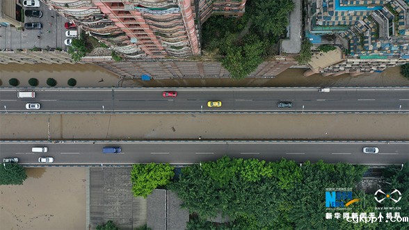 直击长江五号洪水过境重庆主城 多处水位超保