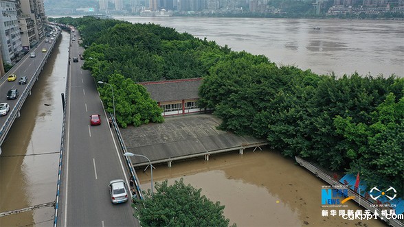 直击长江五号洪水过境重庆主城 多处水位超保