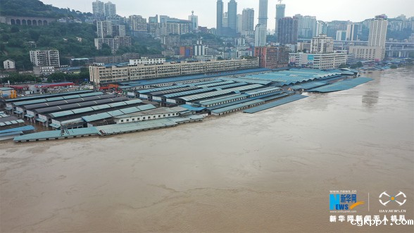 直击长江五号洪水过境重庆主城 多处水位超保