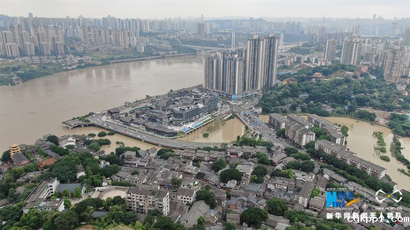 直击长江五号洪水过境重庆主城 多处水位超保