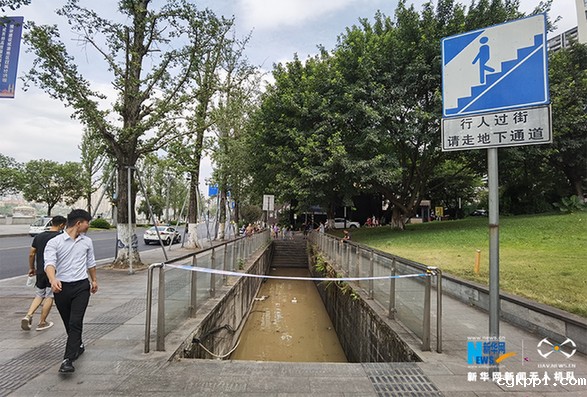 直击长江五号洪水过境重庆主城 多处水位超保