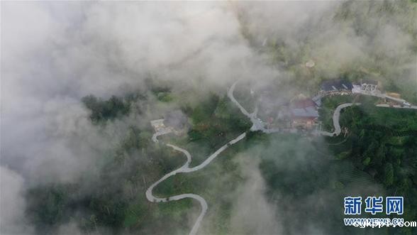 湖北利川:云海似画卷 #(美丽中国)(2)湖北利川:云海似画卷