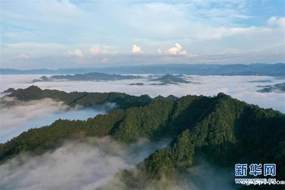 湖北利川:云海似画卷 #(美丽中国)(3)湖北利川:云海似画卷