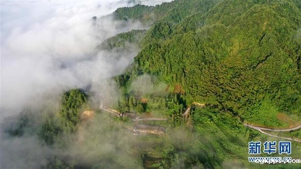湖北利川:云海似画卷 #(美丽中国)(6)湖北利川:云海似画卷