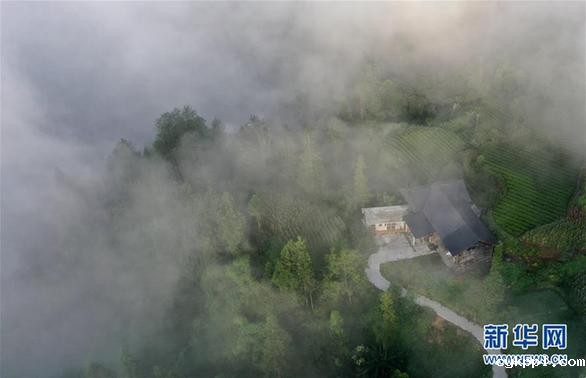 湖北利川:云海似画卷 #(美丽中国)(10)湖北利川:云海似画卷