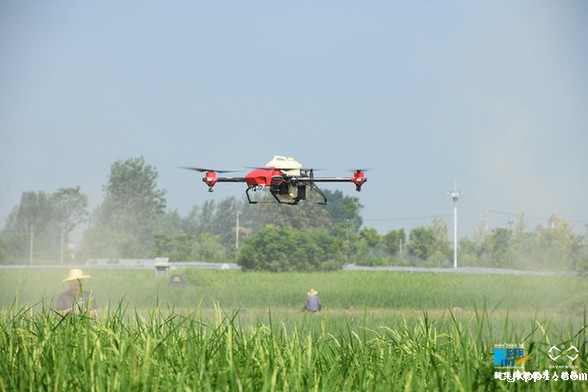 【“飞阅”中国】植保无人机助力王家坝灾后生产自救