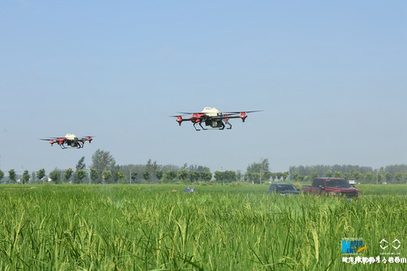 【“飞阅”中国】植保无人机助力王家坝灾后生产自救