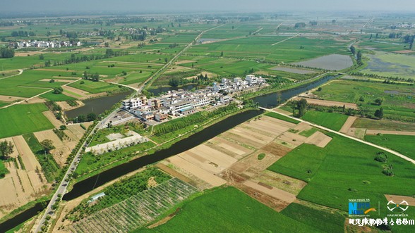 【“飞阅”中国】植保无人机助力王家坝灾后生产自救
